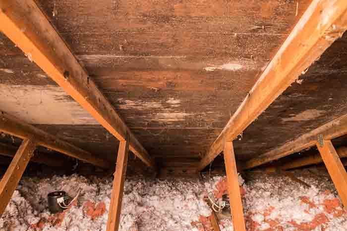 Mold Prevention