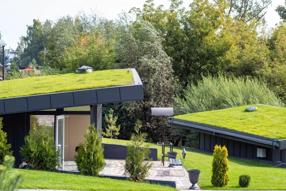 green roofing