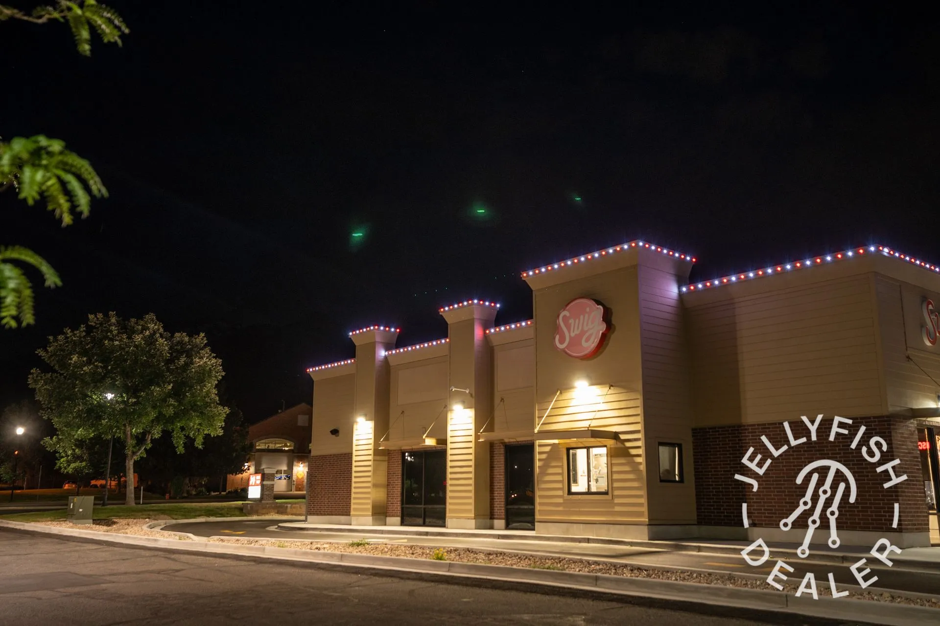 Permanent Decorative Lighting