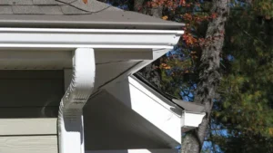 Blog 4 Protect Your Investment Expert New Gutter Installation in San Diego CA