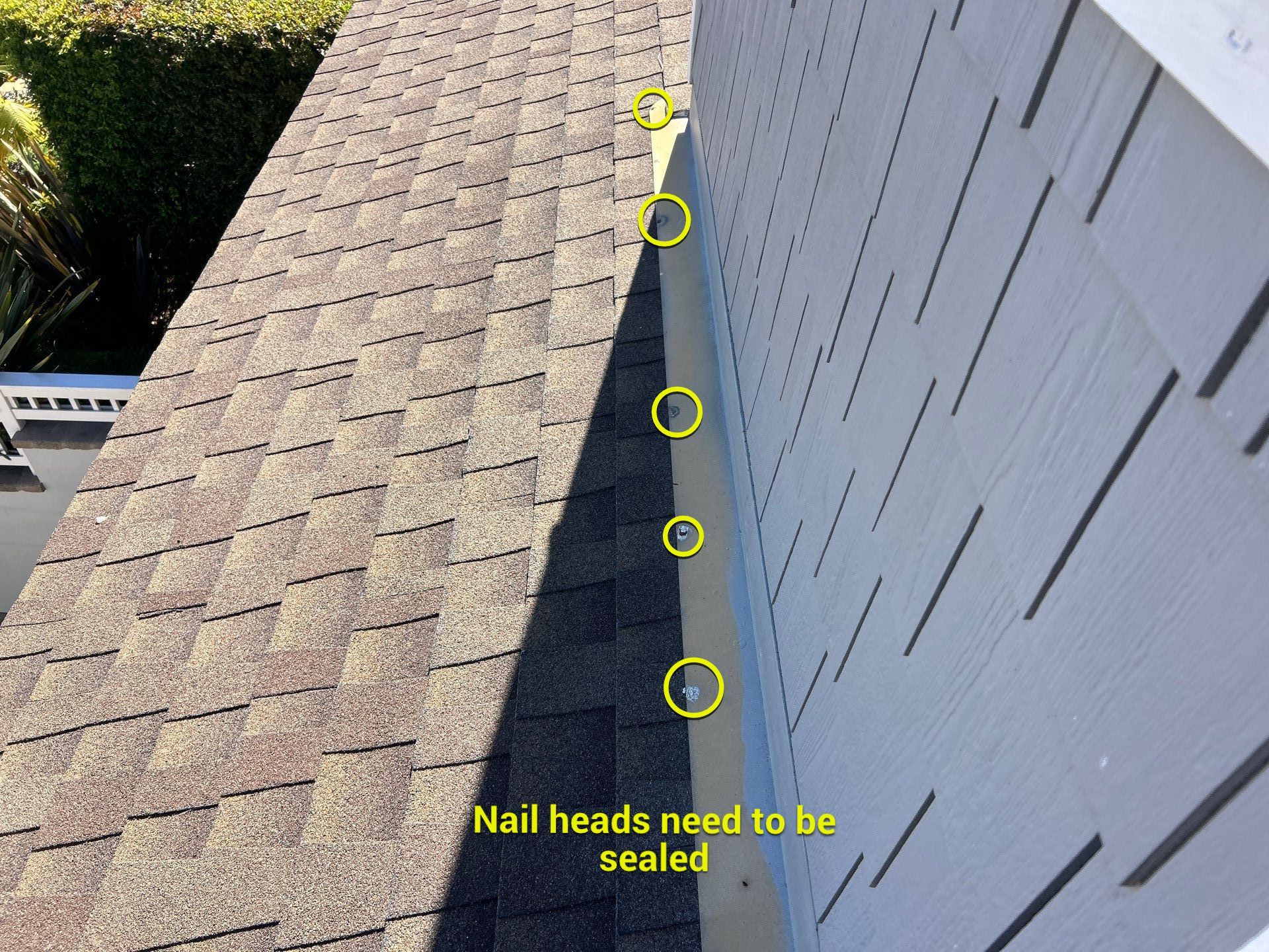 down net http20251104 201 bg3ly9