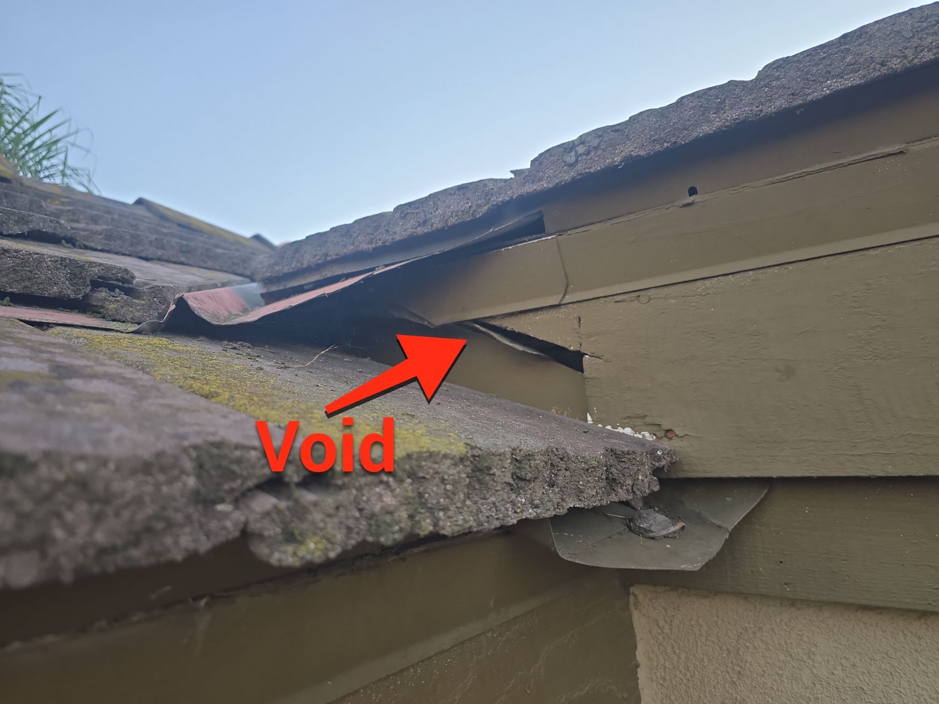 down net http20251104 209 f9k74o 1