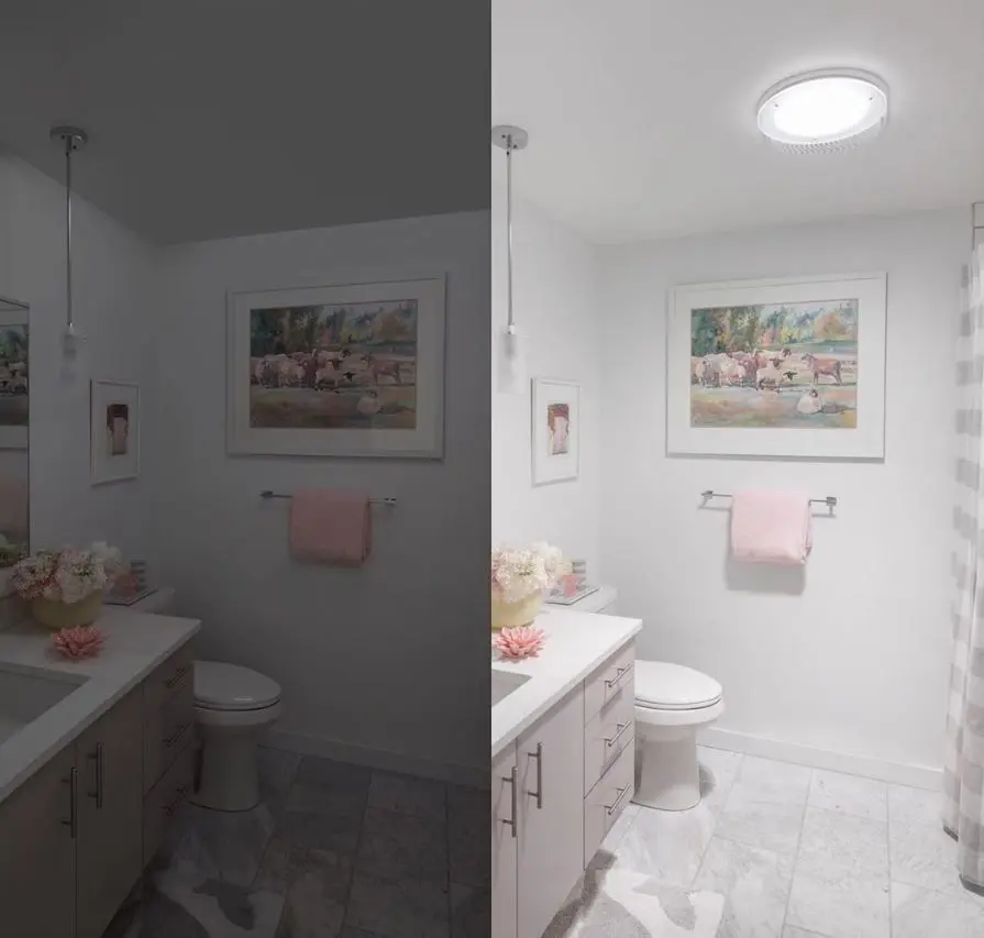 1 2 0ocv1txzl7qapgp6flijhq 895x853 1